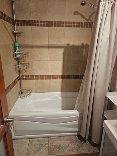 1 bedroom apartment for rent in Montreal - Le Plateau-Mont-Royal — photo 4