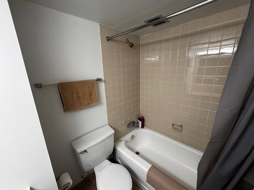 Appartement de 1 chambre à louer à Montreal - Le Plateau-Mont-Royal — photo 14