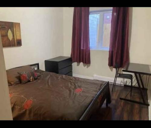 Appartement de 4 chambres à louer à Montreal - Le Plateau-Mont-Royal — photo 2