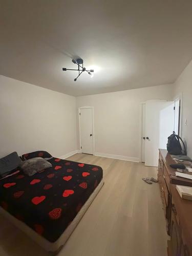 4 bedrooms apartment for rent in Montreal - Rosemont–La Petite-Patrie — photo 10