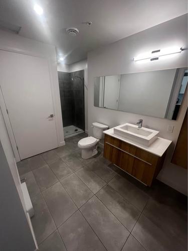 1 bedroom apartment for rent in Laval — photo 4