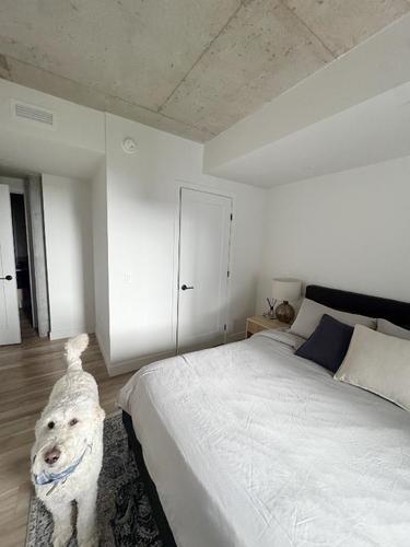 2 bedrooms apartment for rent in Québec - Sainte-Foy–Sillery–Cap-Rouge — photo 3