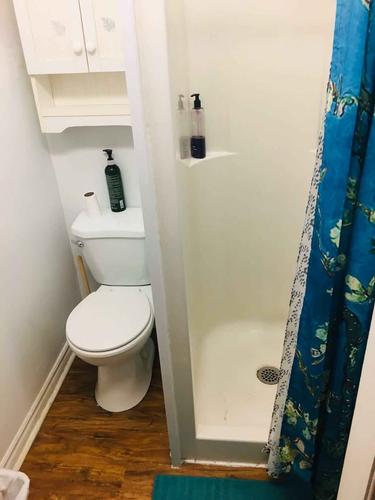 Studio for rent in Montreal - Le Plateau-Mont-Royal — photo 4
