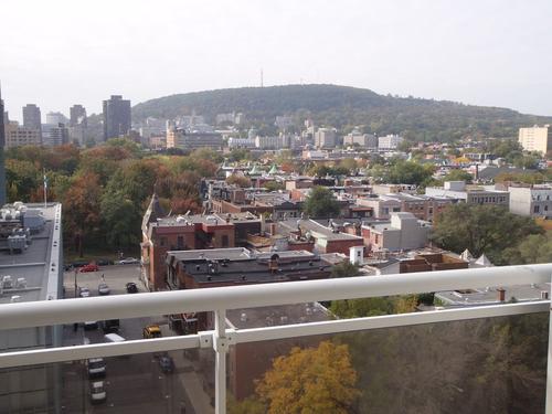 Studio à louer à Montreal - Le Plateau-Mont-Royal — photo 4