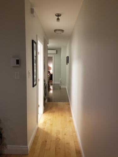 1 bedroom apartment for rent in Montreal - Rosemont–La Petite-Patrie — photo 7