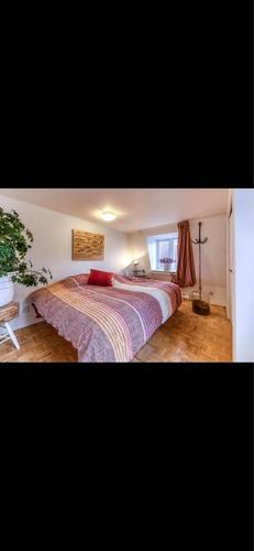 Appartement de 3 chambres à louer à Québec - La Cité-Limoilou — photo 3