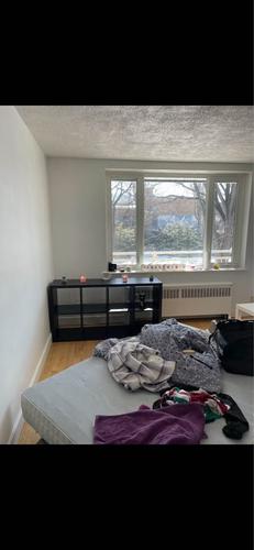 Studio à louer à Québec - La Cité-Limoilou — photo 3