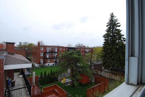 Appartement de 1 chambre à louer à Montreal - Rosemont–La Petite-Patrie — photo 7