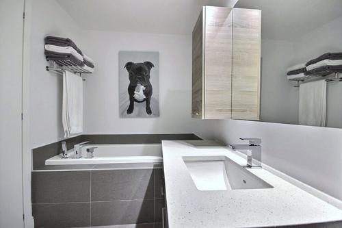 Appartement de 1 chambre à louer à Laval — photo 10