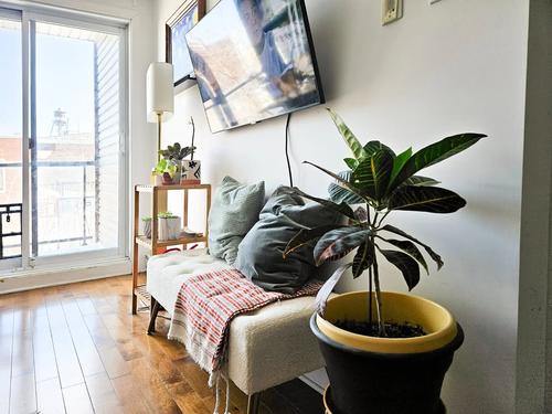 1 bedroom apartment for rent in Montreal - Rosemont–La Petite-Patrie — photo 3