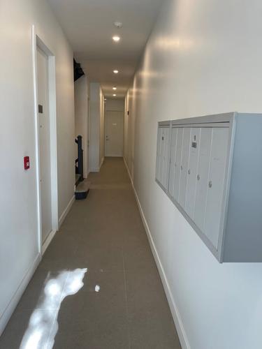 Appartement de 2 chambres à louer à Montreal - Le Plateau-Mont-Royal — photo 11
