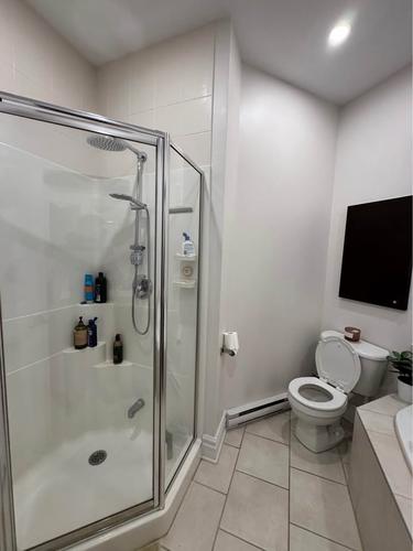 Appartement de 1 chambre à louer à Montreal - Le Plateau-Mont-Royal — photo 14