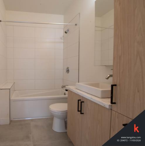 1 bedroom apartment for rent in Montreal - Rosemont–La Petite-Patrie — photo 14