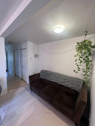 Appartement de 2 chambres à louer à Montreal - Le Plateau-Mont-Royal — photo 3