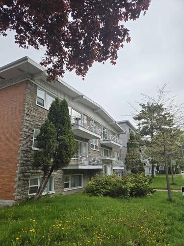 Appartement de 3 chambres à louer à Québec - La Cité-Limoilou — photo 2