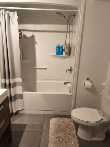 Appartement de 2 chambres à louer à Lévis — photo 3