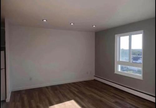 Studio à louer à Sherbrooke — photo 3