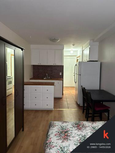 Studio for rent in Montreal - Le Plateau-Mont-Royal — photo 6