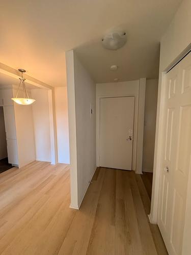 1 bedroom apartment for rent in Brossard — photo 2