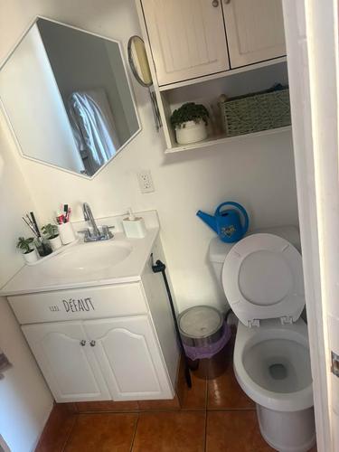 Appartement de 2 chambres à louer à Québec - La Cité-Limoilou — photo 7