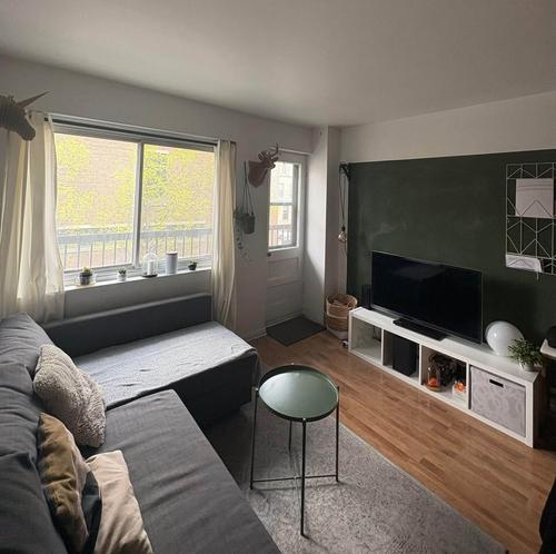 Appartement de 1 chambre à louer à Montreal - Le Plateau-Mont-Royal — photo 5