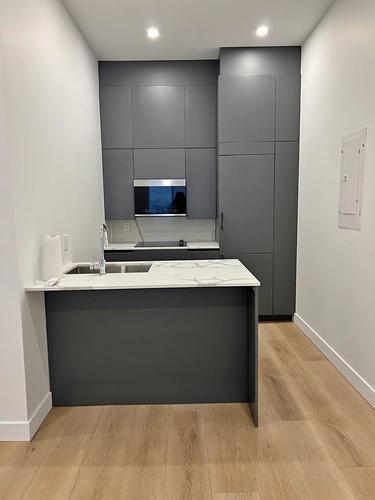 Appartement de 2 chambres à louer à Montreal - Le Plateau-Mont-Royal — photo 2