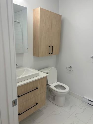 Appartement de 1 chambre à louer à Longueuil — photo 8