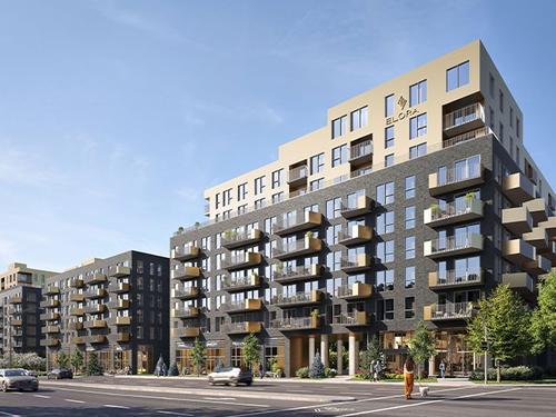 Appartement de 1 chambre à louer à Laval — photo 11