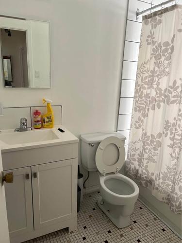1 bedroom apartment for rent in Montreal - Rivière-des-Prairies–Pointe-aux-Trembles — photo 7