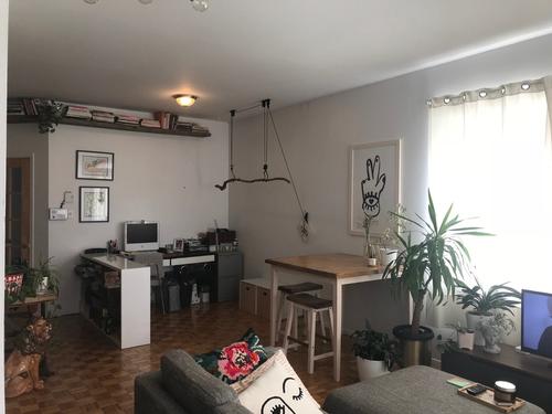 Appartement de 1 chambre à louer à Montreal - Rosemont–La Petite-Patrie — photo 3