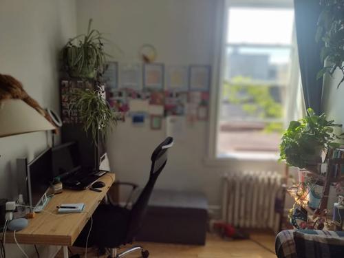 3 bedrooms apartment for rent in Montreal - Verdun — photo 12