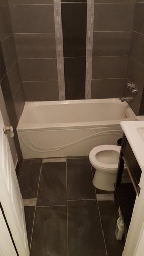 Appartement de 2 chambres à louer à Montreal - Le Plateau-Mont-Royal — photo 10