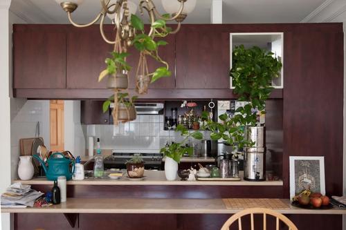 Appartement de 2 chambres à louer à Montreal - Le Plateau-Mont-Royal — photo 3