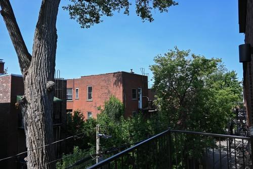 1 bedroom apartment for rent in Montreal - Le Plateau-Mont-Royal — photo 4