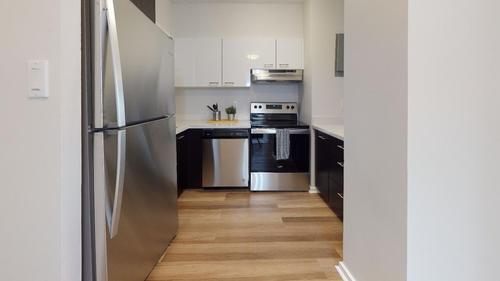 1 bedroom apartment for rent in Montreal - Le Plateau-Mont-Royal — photo 2