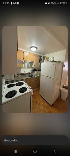 1 bedroom apartment for rent in Montreal - Le Plateau-Mont-Royal — photo 4