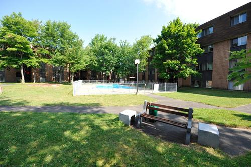 2 bedrooms apartment for rent in Lévis — photo 5