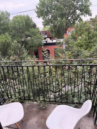 Appartement de 1 chambre à louer à Montreal - Le Plateau-Mont-Royal — photo 7