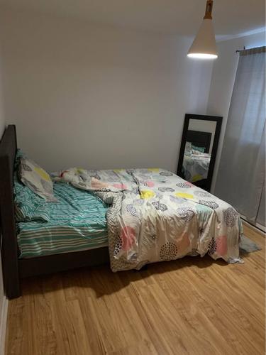 1 bedroom apartment for rent in Gatineau — photo 4