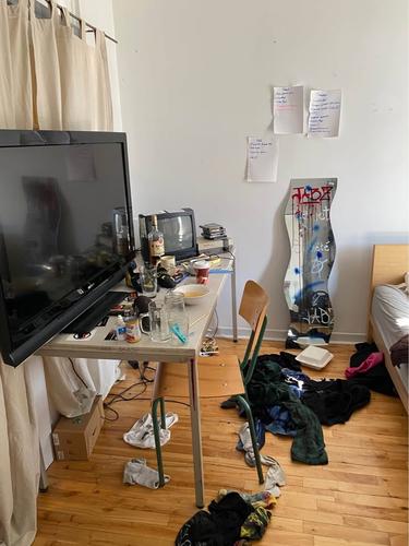4 bedrooms apartment for rent in Montreal - Le Plateau-Mont-Royal — photo 8