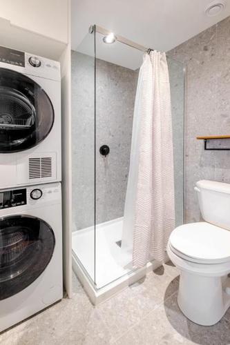1 bedroom apartment for rent in Québec - La Cité-Limoilou — photo 2
