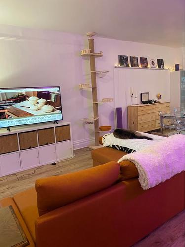 Appartement de 1 chambre à louer à Montreal - Rosemont–La Petite-Patrie — photo 7