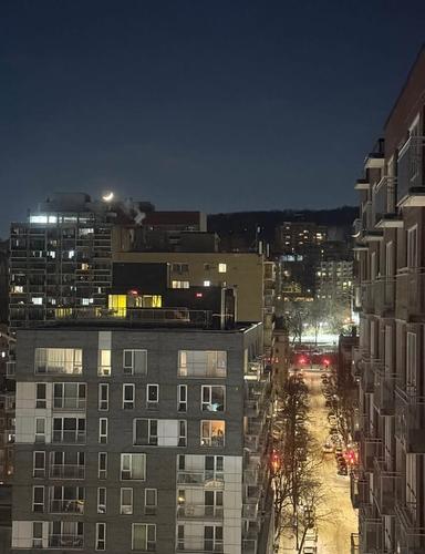1 bedroom apartment for rent in Montreal - Le Plateau-Mont-Royal — photo 6