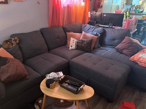 Appartement de 2 chambres à louer à Longueuil — photo 3