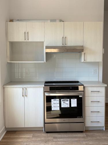 4 bedrooms apartment for rent in Montreal - Ville-Marie — photo 3