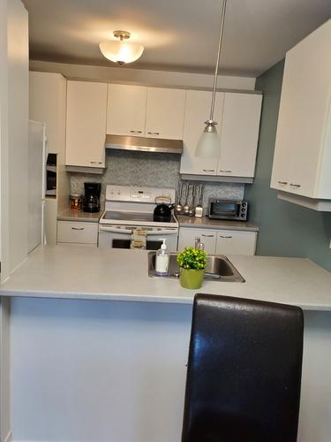 1 bedroom apartment for rent in Lévis — photo 3