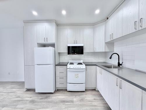 1 bedroom apartment for rent in Montreal - Rosemont–La Petite-Patrie — photo 3