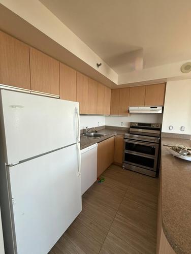 Appartement de 2 chambres à louer à Montreal - Ville-Marie — photo 11