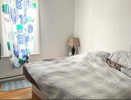 Appartement de 3 chambres à louer à Québec - La Cité-Limoilou — photo 7