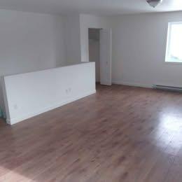 Appartement de 2 chambres à louer à Québec - La Cité-Limoilou — photo 4